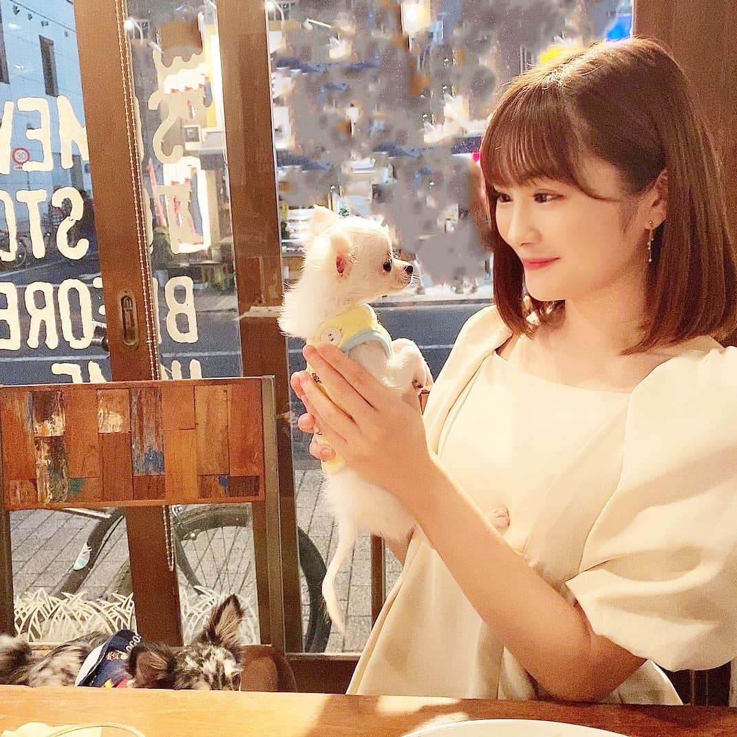 川上礼奈さんのインスタグラム写真 - (川上礼奈Instagram)「. 息子3ちぃとcafeに🐶☕️ ぱにはこのアカウント初登場かも😳🤍 今日の私服は @honeyant.shop のone-pieceです👗✨」8月1日 21時58分 - kawakami_rena