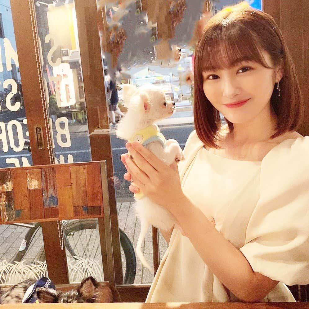 川上礼奈さんのインスタグラム写真 - (川上礼奈Instagram)「. 息子3ちぃとcafeに🐶☕️ ぱにはこのアカウント初登場かも😳🤍 今日の私服は @honeyant.shop のone-pieceです👗✨」8月1日 21時58分 - kawakami_rena