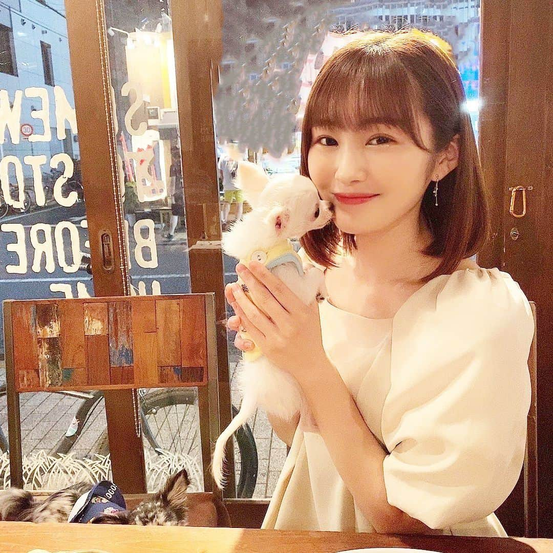 川上礼奈さんのインスタグラム写真 - (川上礼奈Instagram)「. 息子3ちぃとcafeに🐶☕️ ぱにはこのアカウント初登場かも😳🤍 今日の私服は @honeyant.shop のone-pieceです👗✨」8月1日 21時58分 - kawakami_rena