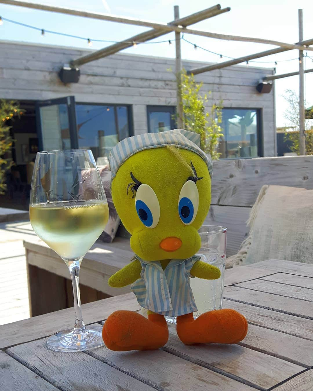 Little Yellow Birdさんのインスタグラム写真 - (Little Yellow BirdInstagram)「Cheers to a happy weekend, my friends!! #littleyellowbird #tweety #tweetykweelapis #adventures #yellow #bird #weekend #saturday #cheers #proost #wine #whitewine #wijn #happyhour #drinks #strand #ijmuiden #netherlands #northsea #beach #noordzee #zandiego #stuffedanimalsofinstagram #plushiesofinstagram」8月1日 22時32分 - tweetykweelapis