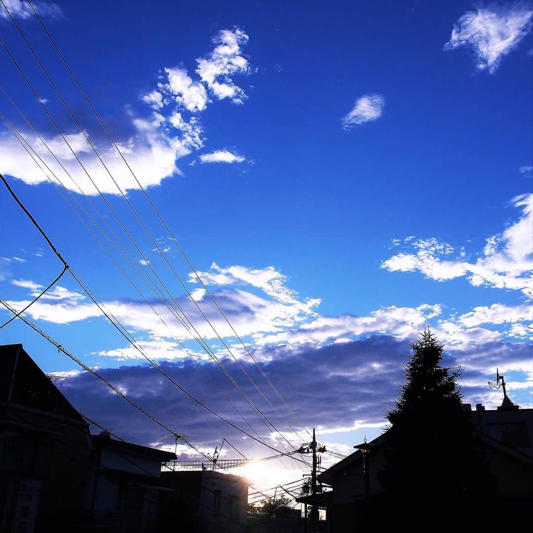坂崎幸之助さんのインスタグラム写真 - (坂崎幸之助Instagram)「東京の梅雨が明けた記念にさわやかな青空を😂 でもこれからまた暑くなるのかな🤨 この夏は熱中症とコロナ、ダブルで気を付けないとね😤  #梅雨明け #青空 #8月 #olympusomd #熱中症とコロナには要注意」8月1日 23時00分 - kohnosukesakazaki