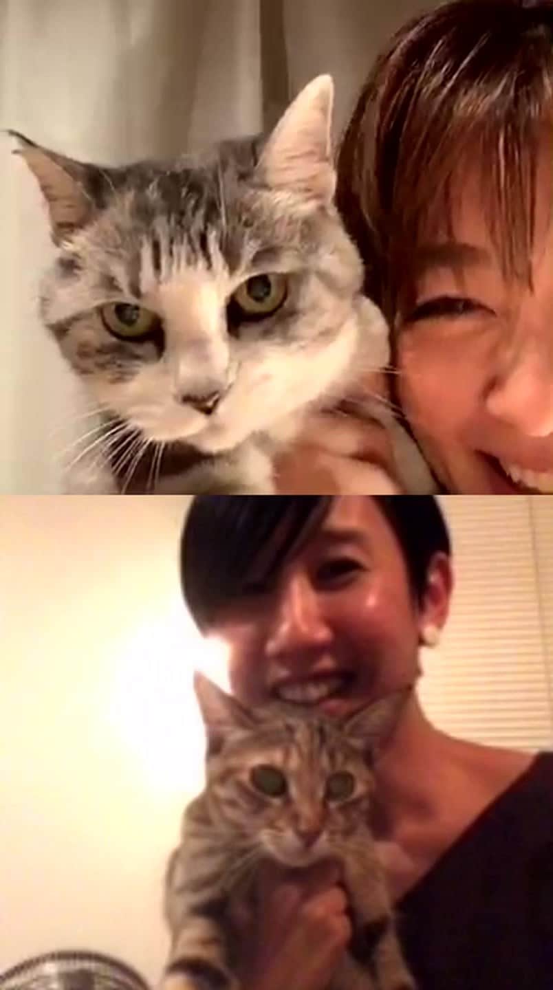 のインスタグラム：「第9回目、今夜のゲストは友人のシンガーソングライター、森ゆにちゃん @moriyuni でした！ . 時おり、一緒に歌わせてもらうのは、至福の時間。ほんとは今年も5月にそんな機会をもてるはずだったのだけど、叶わずでした。また必ずや…！ . ヤエとマチも、ご登場ありがとう♡ . #LateNightCatWhispers #森ゆに」