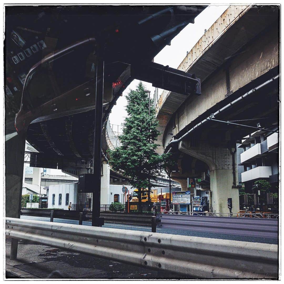 小宮山桂のインスタグラム：「#gr3#vsco#lightroom」