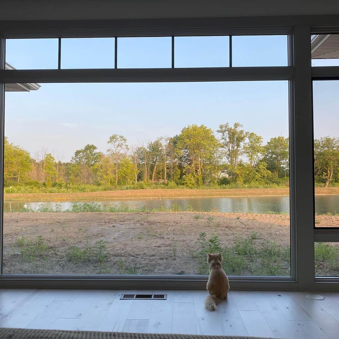 のインスタグラム：「The moment I was waiting for. They love the windows 🥰」