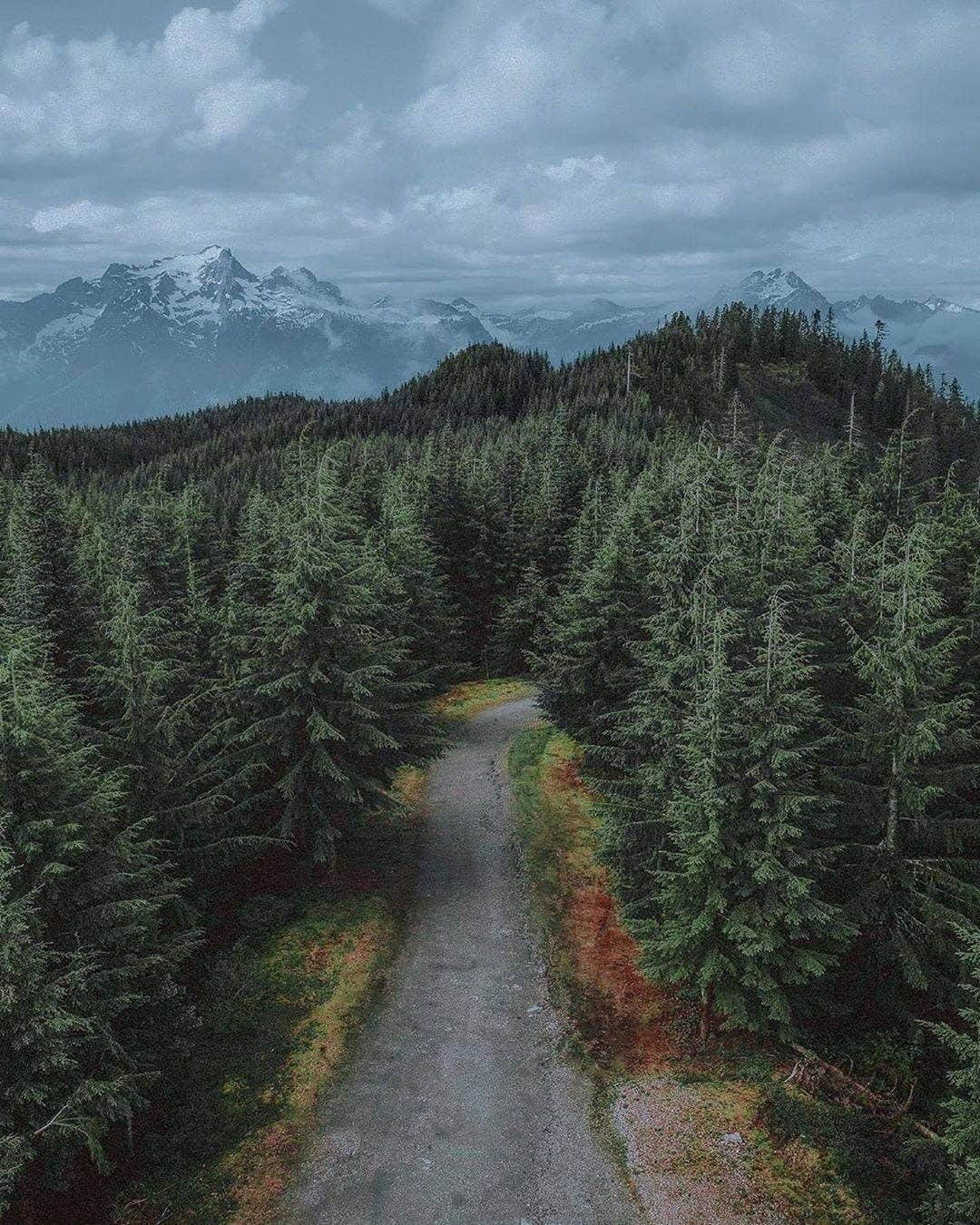 Discover Earthさんのインスタグラム写真 - (Discover EarthInstagram)「Tag that person you’d live in the wild with. 🇺🇸 #discoveroregon with @chrishenry  #forest #intothewild #wilderness」8月2日 0時00分 - discoverearth