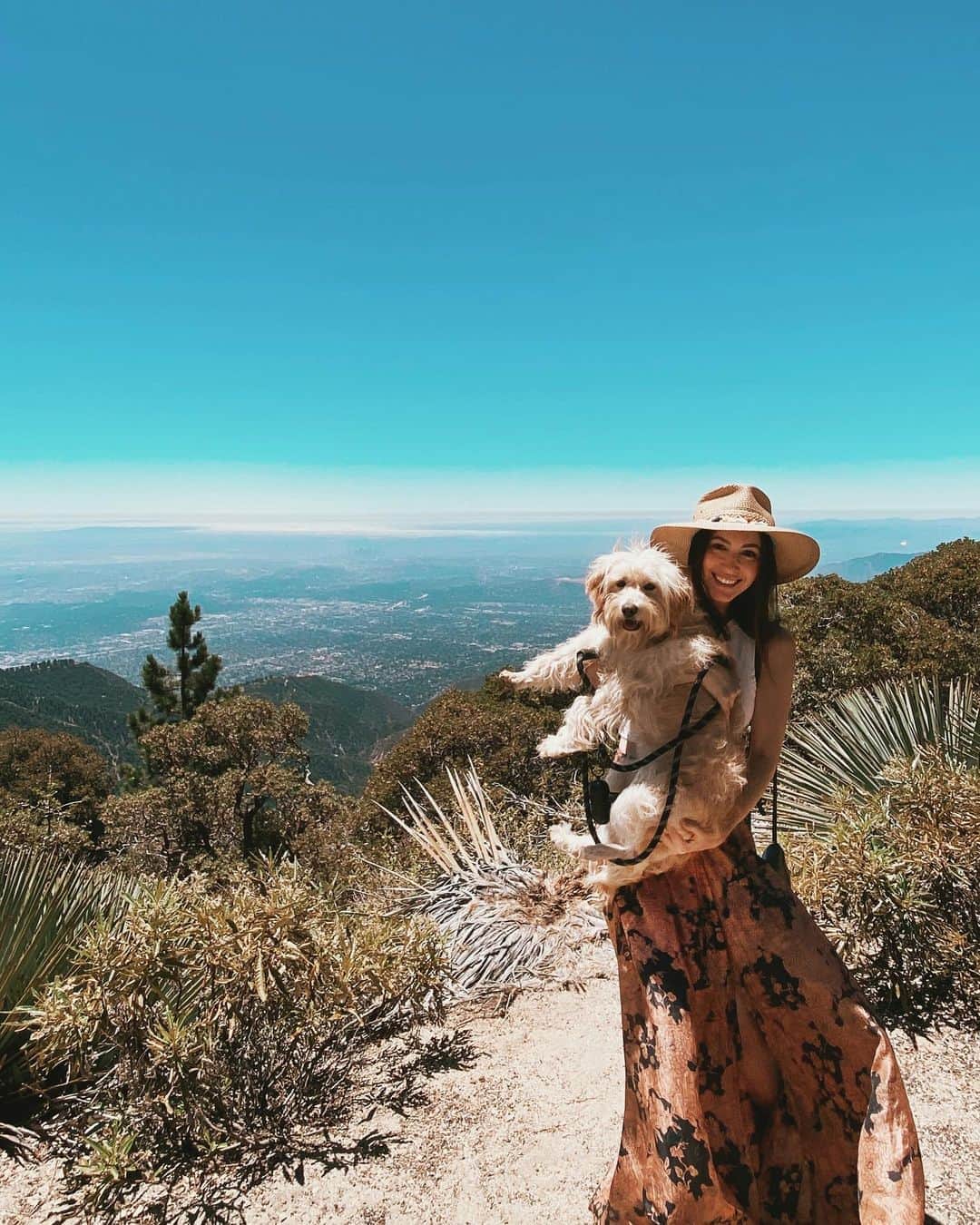 のインスタグラム：「Taking a break from unpacking boxes to create some really fun content that I can’t wait to share with you soon! 🐾🌵☀️ Why unpacking boxes?? I’ve been off the radar for the past week in the midst of yet another move (staying in LA though), and finally coming up for air! I posted a few before photos of our new place and the story behind our move on my blog @wethedreamers this week in case you missed it - link in @wethedreamers bio ✨ happy weekend!! .  https://wethedreamers.com/blog/2020/7/28/kates-new-place-before-photos」