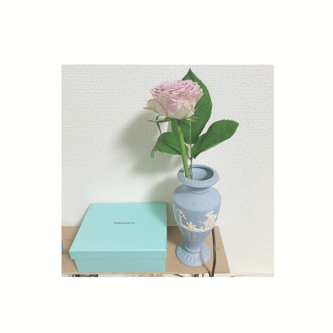 平原歩のインスタグラム：「お誕生日のお祝いに 花束を買いにいったら お花屋さんのおばぁちゃまに 「これはあなたにあげるっ」と 渡してくれました🌸  実家のばぁちゃんにずっと会えてないから、お花やさんのおばぁちゃまと話してる時間が楽しかった。 お花のことも教えてくれて嬉しかった☺️ すごく幸せな気持ちになる金曜日でした！これこそ花金🌸  早く不安にならず、思いきり家族に会いたいな。  #wedgewood  #花」