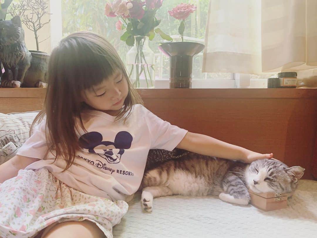 のインスタグラム：「今朝の #サバ美となまこちゃん  #サバ美 #今日のなまこちゃん #5歳0ヶ月」