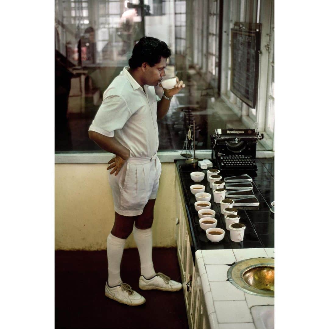 スティーブ・マカリーさんのインスタグラム写真 - (スティーブ・マカリーInstagram)「1st image: Young boy in homemade red glasses from a can, #Colombo, Sri Lanka, 1995.  2nd image: Manager taste testing tea, 1995.  3rd image: Woman working in a tea estate, 1983.  #stevemccurry #srilanka」8月2日 0時34分 - stevemccurryofficial