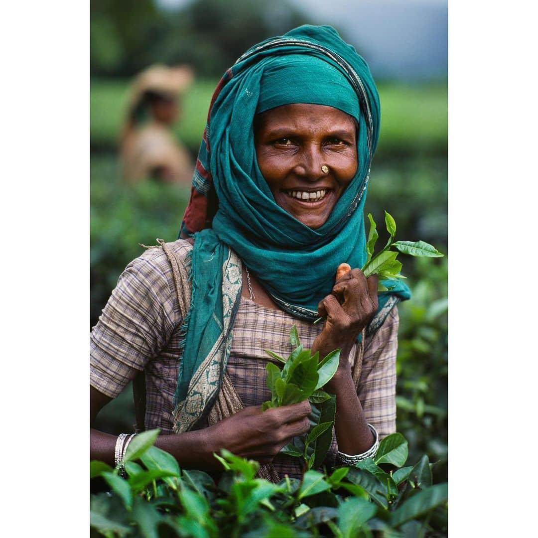 スティーブ・マカリーさんのインスタグラム写真 - (スティーブ・マカリーInstagram)「1st image: Young boy in homemade red glasses from a can, #Colombo, Sri Lanka, 1995.  2nd image: Manager taste testing tea, 1995.  3rd image: Woman working in a tea estate, 1983.  #stevemccurry #srilanka」8月2日 0時34分 - stevemccurryofficial