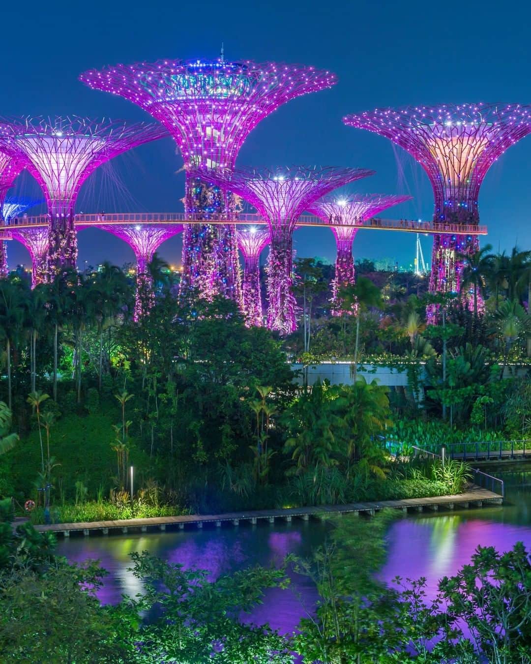 Discoveryさんのインスタグラム写真 - (DiscoveryInstagram)「Singapore’s Supertree Grove is home to giant man-made trees that create a vertical garden. The ‘trees’ use solar energy to power their lights, collect rainwater for use in irrigation and help cool the air.   Photo: Marc Dozier/Getty  #supertreegrove #singapore #technology #solarenergy #artificialplants」8月2日 0時47分 - discovery
