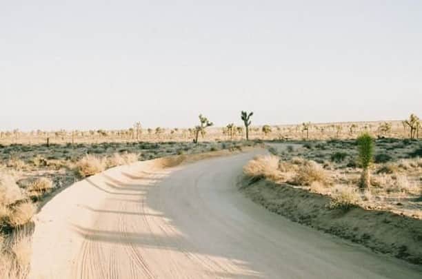 カレントエリオットのインスタグラム：「off the beaten path / #travelinspo」