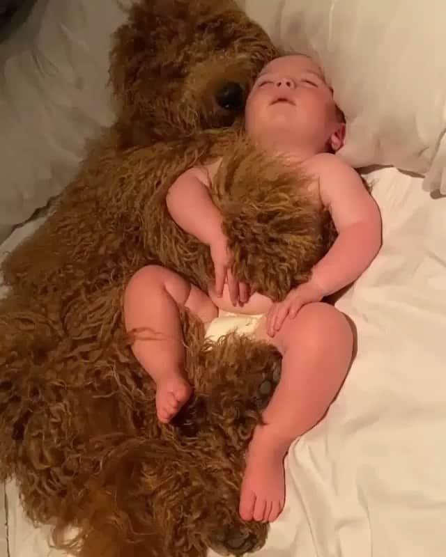 ブルーライフのインスタグラム：「Saturday morning cuddles 💕 #shopplanetblue」