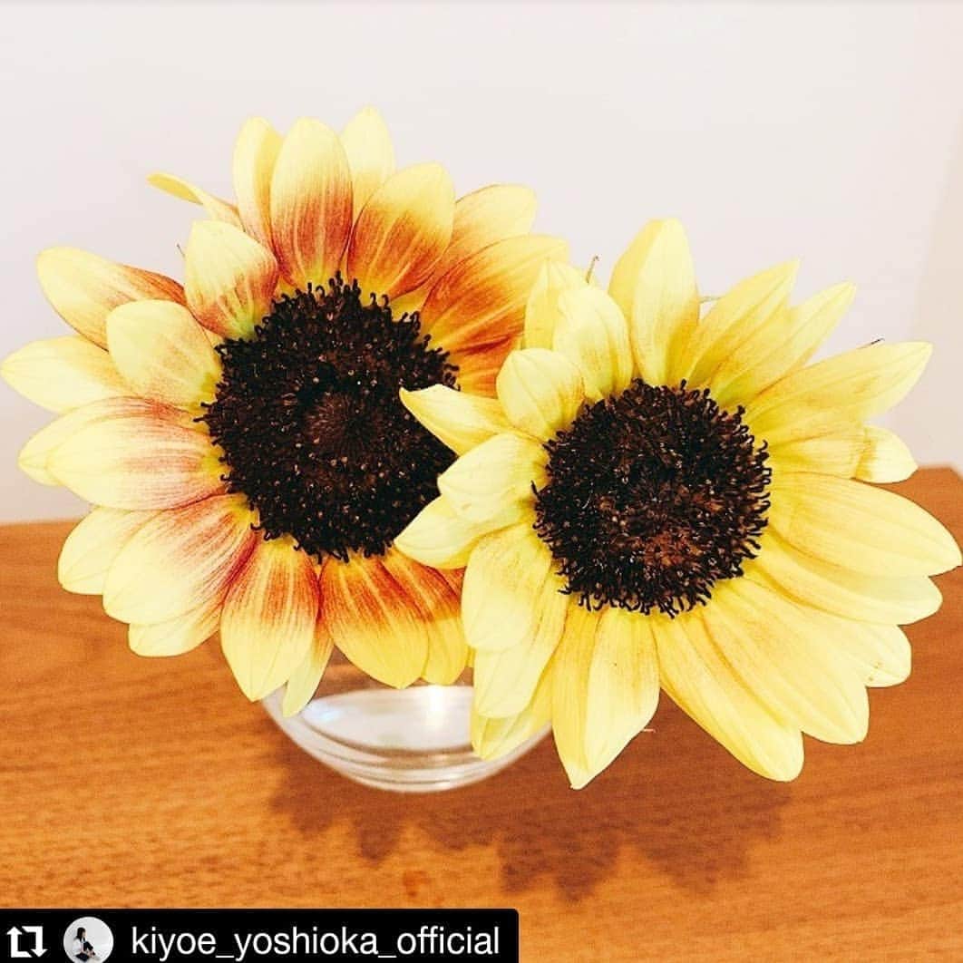 いきものがかりさんのインスタグラム写真 - (いきものがかりInstagram)「🎉吉岡聖恵、一般男性との結婚発表🌹  　吉岡は「私、吉岡聖恵は本日8月1日に、結婚致しました事をここに御報告させて頂きます」とし、「お相手は一般の方で、私の事を1人の人間として、そして1人の歌い手として心の底から受け止め、包み込んでくれる、優しく真っ直ぐな心を持った方です」と紹介。  　「そして私の人生においてとても大切な『歌うこと』に対しても大きな理解を示してくれています。これからも皆様への感謝の気持ちを大切に、1人の人間として成長し、歌手としても素敵な歌を末長く届けていけるように、より一層精進してまいります」と思いをつづった。  　最後に「あたたかく見守って頂けましたらうれしいです。コロナ禍がまだまだ続いております。事態の一刻も早い収束を、皆様と心を同じくして願っております」と結んだ。  https://www.oricon.co.jp/news/2168424/full/?utm_source=Twitter&utm_medium=social&ref_cd=jstw003  聖恵ちゃん、おめでとうございます😊 @kiyoe_yoshioka_official  kiyoe Yoshioka (36) has announced his marriage to a non-celebrity man. ㅤ ㅤ ㅤ ㅤ ㅤ ㅤ ㅤ ㅤ ㅤ ㅤ This news was announced by Yoshioka through the group's official website he wrote, "I, Yoshioka Kiyoe, want to announce that I have received on August 1" He introduced support and announced, "He is a kind-hearted non-celebrity man who accepts me as a human also as a singer. " ㅤ ㅤ ㅤ ㅤ ㅤ ㅤ ㅤ ㅤ ㅤ ㅤ Kiyoe continued, "He also solved the difficulty of meaning 'singing' for me. With gratitude for everyone, I will do my best to grow as a human and continue to provide beautiful songs as a launcher."  #いきものがかり #Ikimonogakari  #吉岡聖恵 #2020」8月2日 3時09分 - ikimonogakari_jp