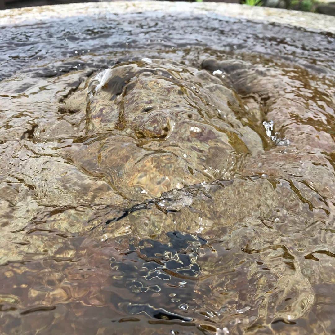 のインスタグラム：「💦🥵暑いので… 竹田・河宇田湧水の 湧き出す涼しげな画像をどうぞ！ ゆ〜わくジャーニー、 明日からは竹田市weekです！ #ゆーわくワイド  #ゆーわくジャーニー #竹田市」
