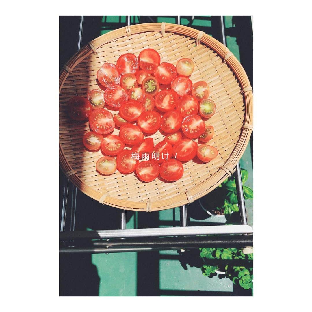笹峯愛さんのインスタグラム写真 - (笹峯愛Instagram)「2020.8.2 . もう8月。 そして、ようやくの夏らしい空。  オーブンで作ろうと思っていた ドライトマトを 気持ち天日干ししてみるテンション。」8月2日 13時31分 - mineco.m