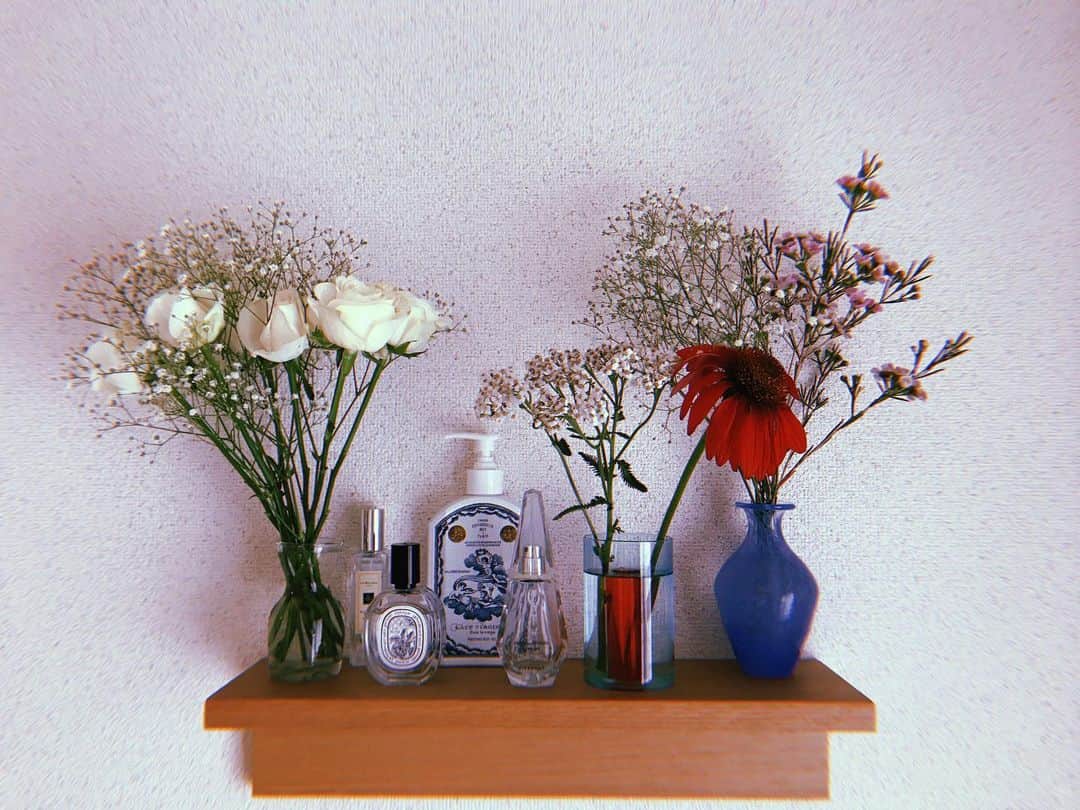 中神円さんのインスタグラム写真 - (中神円Instagram)「いま花が充実してる①」8月2日 13時55分 - 1yen2yen3yen
