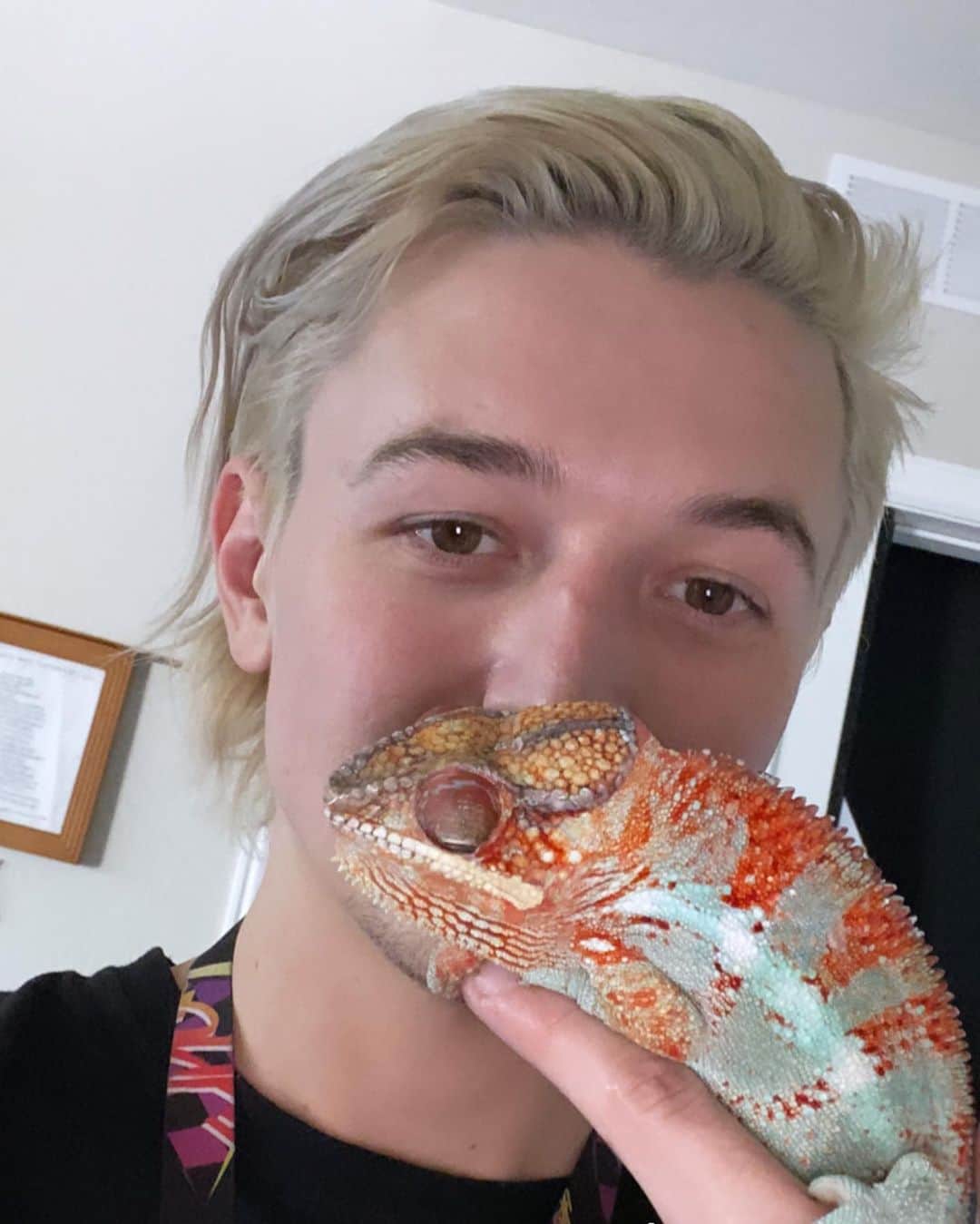 Ghastlyのインスタグラム：「Albert learned a new color, pls congratulate him」