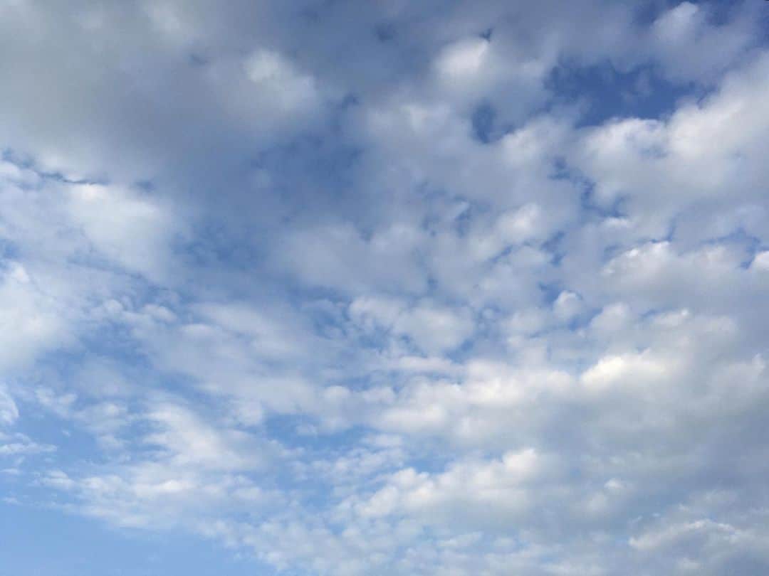 中井智彦さんのインスタグラム写真 - (中井智彦Instagram)「‪蝉が鳴いてる。‬ ‪だけど、静かな朝。‬ ‪22時に寝ると5時に起きちゃうみたい。‬ ‪丁度7時間たつと起きるタイマーが僕の身体に仕組まれてるんだな。‬ ‪ベランダから見る空は柔らかい綿雲に包まれて気持ちよさそうです。‬ ‪僕も綿雲みたいに音楽をみんなに届けたい。‬ ‪#音楽‬ ‪#綿雲‬」8月2日 6時02分 - nakaitomohiko