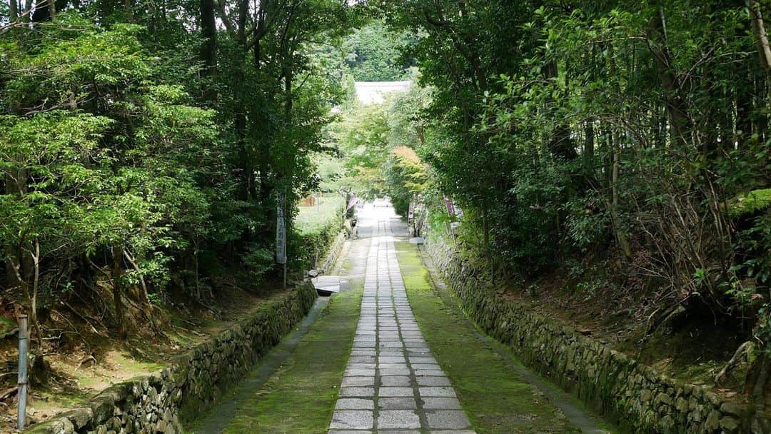 のインスタグラム：「凄いヒントを沢山いただきました。日本って凄い。 #ひいずるくに #満願寺」
