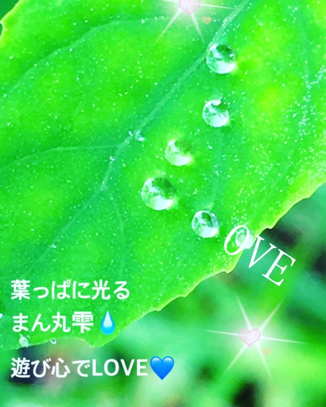 花原あんりのインスタグラム：「#love #しずく #癒し」