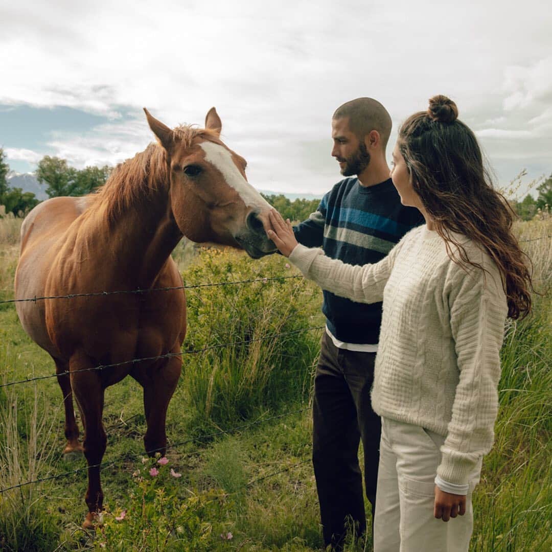 シービーズのインスタグラム：「Did you know we just released our Fall Collection? Quit horsing around and go check it out! ⁣ ⁣⁣ ⁣Link in bio. ⁣ ⁣#showupinSeaVees」
