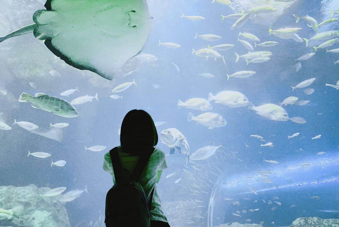 中村歩加さんのインスタグラム写真 - (中村歩加Instagram)「#水族館 #マリンピア日本海  たくさん眺めて癒された日☺︎  #過去pic」8月2日 14時13分 - nakamuland_official