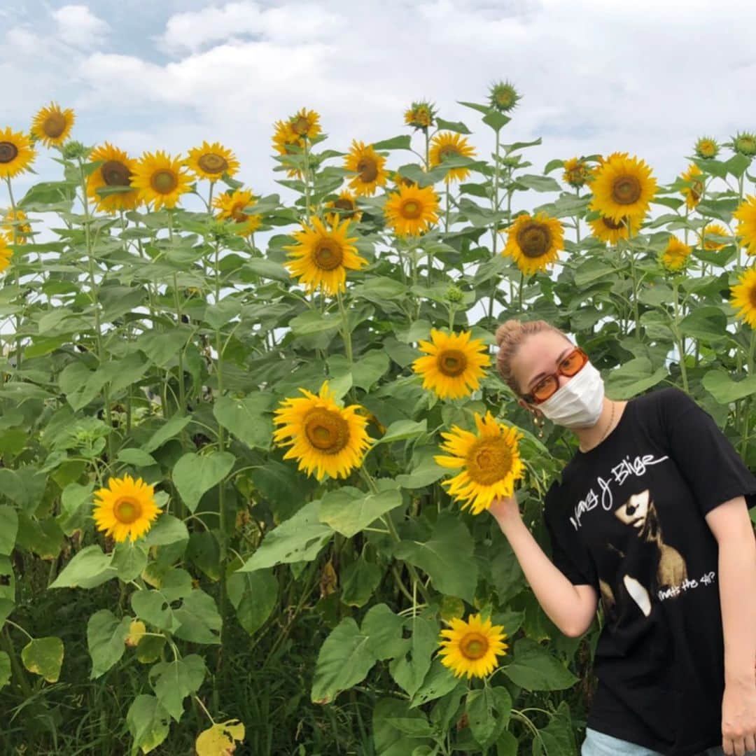 chocomooのインスタグラム：「🌻💛🌻 #Chocomooloves🌳🌵🌿🌼」