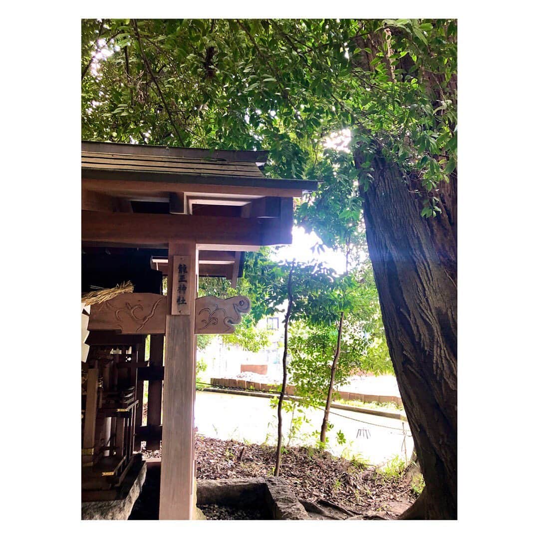 のインスタグラム：「.﻿ .﻿ 気付けば﻿ 深夜3時迄パソコン仕事をしていて﻿ 　　　　　　　　　　　﻿ お腹もペコペコになり﻿ グーグー鳴らしながら眠りにつきました笑﻿ ﻿ そんな昨日は8月1日。﻿ ﻿ 地元の氏神さまで﻿ お朔日参りからスタートです⛩﻿ ﻿ 時節柄 どうぞご自愛ください。  ﻿ ✅詳しくはアメブロ更新　↓﻿ 　　　　　　　　　　﻿ http://ameblo.jp/naga-yuki/﻿ ﻿ #お朔日参り﻿#お礼参り #感謝　#神社参拝  #氏神さま  #奈良市　#神社仏閣 #神社好きな人と繋がりたい  #今月もよろしくお願いします  #健康　#仕事　 #パソコン　#チャレンジ」