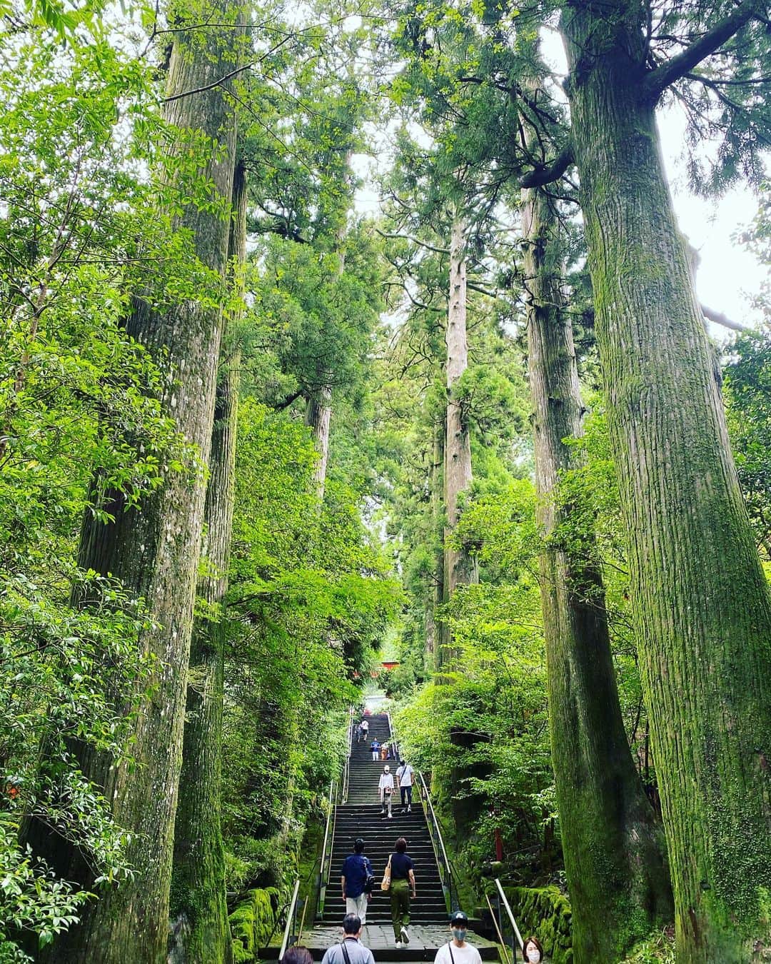 Hiroe Hiranoさんのインスタグラム写真 - (Hiroe HiranoInstagram)「朝から温泉に入り、 美しい和朝食🥢  日本庭園を眺めながら、 ぼーーーっと。  旅には、沢山のインスピレーションがあって。 また未来につなげたいことが出来ました🌈  至福の時間をありがとう✨  海を楽しんだ伊豆半島のあとは、、、山へ❗️ 緑いっぱいな場所に🌿🌳 さーどこでしょう🌟  Have a good weekend ❤️😘  #japan #日本　#旅 #anniversarytrip #朝ごはん」8月2日 10時12分 - hiroe_hirano