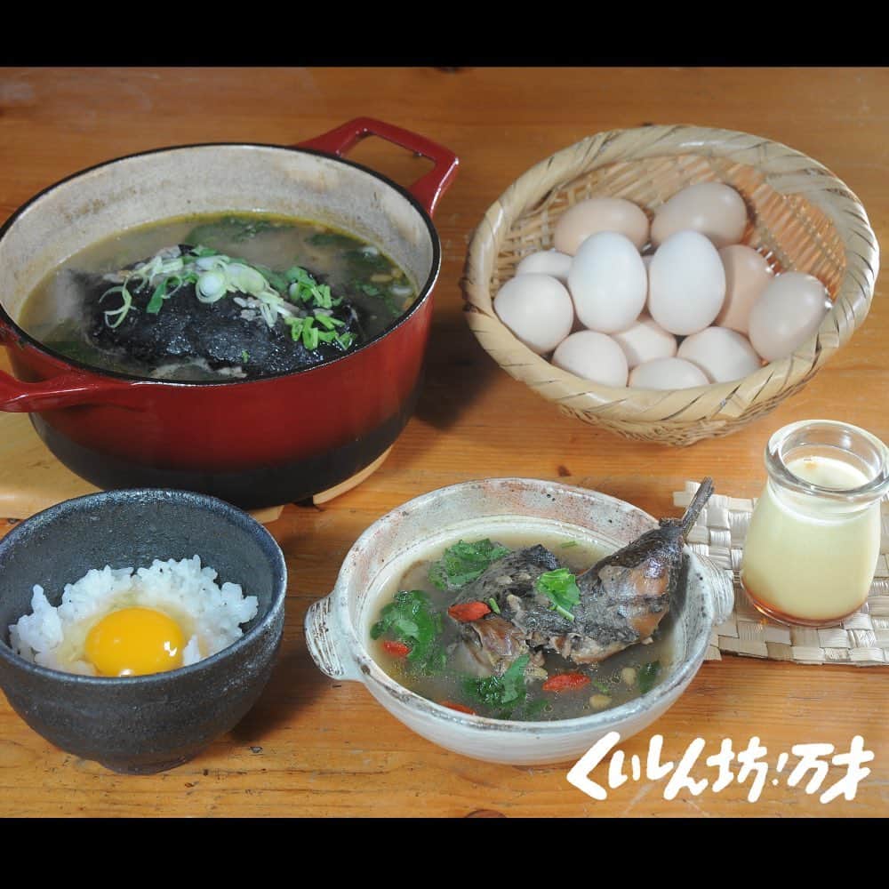 フジテレビ「くいしん坊!万才」さんのインスタグラム写真 - (フジテレビ「くいしん坊!万才」Instagram)「. .  今日の放送は11時45分〜。 . .  鶏が飼いたくて熱海に移住してきという錦織さん。野菜を育てたり蜂を飼ってはちみつを採ったりと自給自足ライフを満喫しています。今回は庭先で飼っている烏骨鶏で作るサムゲタンを頂きます。烏骨鶏は中国で霊鶏と言われるくらい貴重種で、卵が１個500円前後で売られているほどです。 . .  サムゲタンは鶏の腹にもち米や朝鮮人参、なつめ、栗やニンニクなどを詰めて煮込んだ料理で、滋養強壮感もたっぷり。韓国では、日本のうなぎのように夏バテ防止料理として、土用の丑の日にあたる日に食べるのも恒例のようです。白濁したスープに浸かった黒い鶏肉はかなりのインパクトで、中を割って見ると骨まで真っ黒。身は柔らかくホロホロと骨との身離れも良く、スープも栄養と旨味がギュッと溶け込んでいます。 . .  料理を堪能していると錦織さんから衝撃の一言が！なんと錦織さん、本当のサムゲタンは食べた事が無いそう。頂いたのは完全なオリジナルレシピ。それでもとても美味しい一品で、元気をもらえました。 . .  #松岡修造 のくいしん坊！万才#くいしん坊万才 #静岡県#熱海市#烏骨鶏 #食べ歩き#おいしい#うまい #キッコーマンの提供でお送りします#フジテレビ #全国制覇#くいしん坊映え#料理#料理動画 #wraptheworld#washoku#Japaneseculture #cooking#eat#Japan#fromjapan#food#meal #traditional#taste#famous#temaki」8月2日 10時39分 - kuishinbo_official