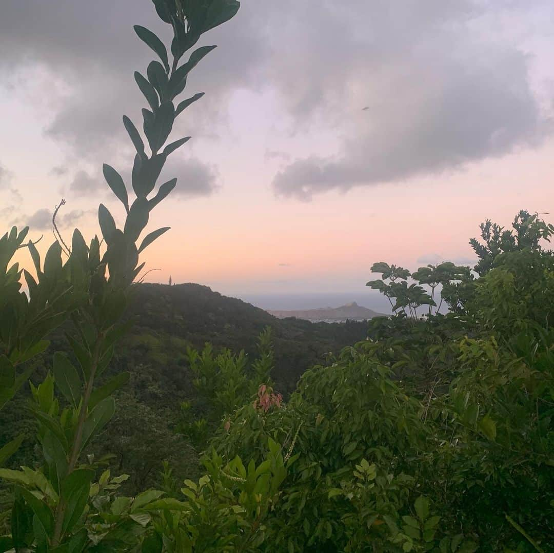 飯島寛子さんのインスタグラム写真 - (飯島寛子Instagram)「Aloha from Tantalus. I ran two laps of Tantalus for the first time. 20miles #ハワイを走ろう　#タンタラス　#ハワイ暮らし　#ハワイランニング」8月2日 11時14分 - hirokoiijima