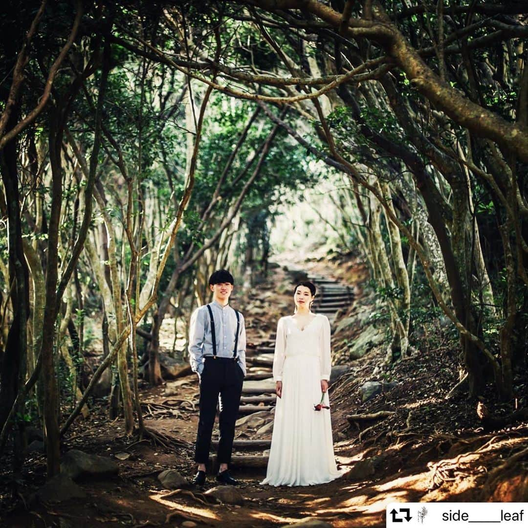 ARCH DAYS Weddingsさんのインスタグラム写真 - (ARCH DAYS WeddingsInstagram)「美しい森林でのフォトウェディング🕊﻿ ﻿ ロケーションに選ばれたのは、福岡県糸島にある、トトロの森と呼ばれる場所。﻿ ﻿ 森の奥へと続いていく道と、お２人の凛とした雰囲気がとても素敵で、まるで映画のワンシーンのような１枚🌿﻿ ﻿ @side_____leaf さん、ご紹介させていただきありがとうございました♩﻿ ﻿ ﻿ -----﻿ ﻿ ﻿ ARCH DAYSへウェディングフォトを掲載させていただける方を大募集🤍﻿ ﻿ @archdays_weddings をフォロー＋ #archdays花嫁 をつけて投稿するだけで応募完了！編集部から「リポスト・メディア掲載」のお声がけをさせていただきます✨ ﻿ 挙式当日だけでなく、前撮り後撮り・ペーパーアイテム・ハネムーン・素敵な暮らしの投稿もOK！沢山のご応募お待ちしています♩﻿ ﻿ ﻿ -----﻿ ﻿ ﻿ ▽ARCH DAYSのトップページはこちらから☑︎﻿ @archdays_weddings﻿ プロフィールのリンクから👰🏻﻿ ﻿ ▽キッズベビーのパーティーアイディアはこちら💁🎉﻿ @archdays﻿ ﻿ ﻿ -----﻿ ﻿ ﻿ ARCH DAYSに会員機能ができました💁‍♀️﻿ ﻿ 気になる記事や写真をクリップして、もっと便利に！自分だけのページを作れます📎﻿ ﻿ また、会員登録をしてマイページからパートナーを招待すれば、2人でイメージを共有可能に♩﻿ ﻿ ﻿ -----﻿ #archdays #archdays_wedding #アーチデイズ #アーチデイズウェディング #archdays花嫁  #ロケーションフォト #ロケーションフォトウェディング #ロケーションフォトウエディング #ロケーションフォト撮影 #ロケーションフォト前撮り #ロケーションフォト #ロケーション撮影 #ロケーション前撮り #ロケーションウェディング #ロケーション撮影前撮り #前撮り #前撮りヘア #前撮り撮影 #後撮り #ショート花嫁 #ショートヘア花嫁 #福岡花嫁 #福岡プレ花嫁 #福岡プレ花嫁さんと繋がりたい #福岡ウェディング #福岡ウエディング #福岡結婚式 #糸島前撮り #糸島ウェディング」8月2日 12時22分 - archdays_weddings