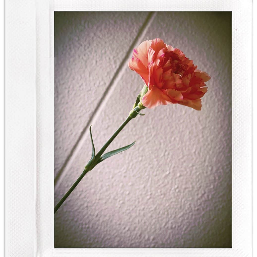 清水楓さんのインスタグラム写真 - (清水楓Instagram)「貯金箱を作っています まるがおショップ予定」8月2日 12時31分 - kaede_shimizu