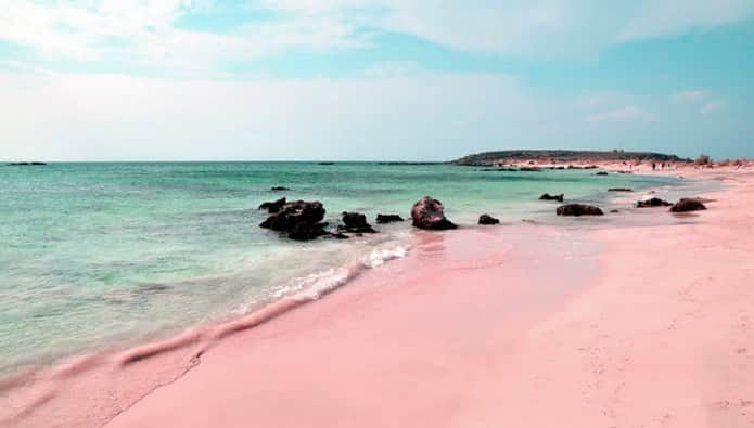 オーガニックバイジョンパトリックさんのインスタグラム写真 - (オーガニックバイジョンパトリックInstagram)「Dreaming of a beautiful beach escape. The beauty and incredible color of Spiaggia Rosa, Italy’s pink beach, off the coast of Sardinia.   #jporganic #organicbyjohnpatrick #spiaggiarosa #pinksand #pinkbeach #cottoncandycolors #italypinkbeach」8月2日 23時25分 - jporganic