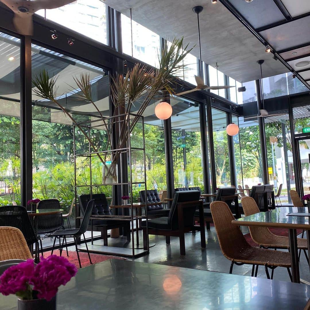 大西蘭さんのインスタグラム写真 - (大西蘭Instagram)「・ 安定の美味しさ、雰囲気の良さの @pscafe 🍽 ・ すごく空いててびっくり。いつ行っても混んでるイメージだったのに。　 ・ 心地の良い空間でのんびり食事できました😌 ・ このトートバック、初めて見たけど、しっかりしてるし使い勝手も良さそう✨ ・ ・ #pscafe #シンガポール生活」8月2日 23時25分 - onishiran