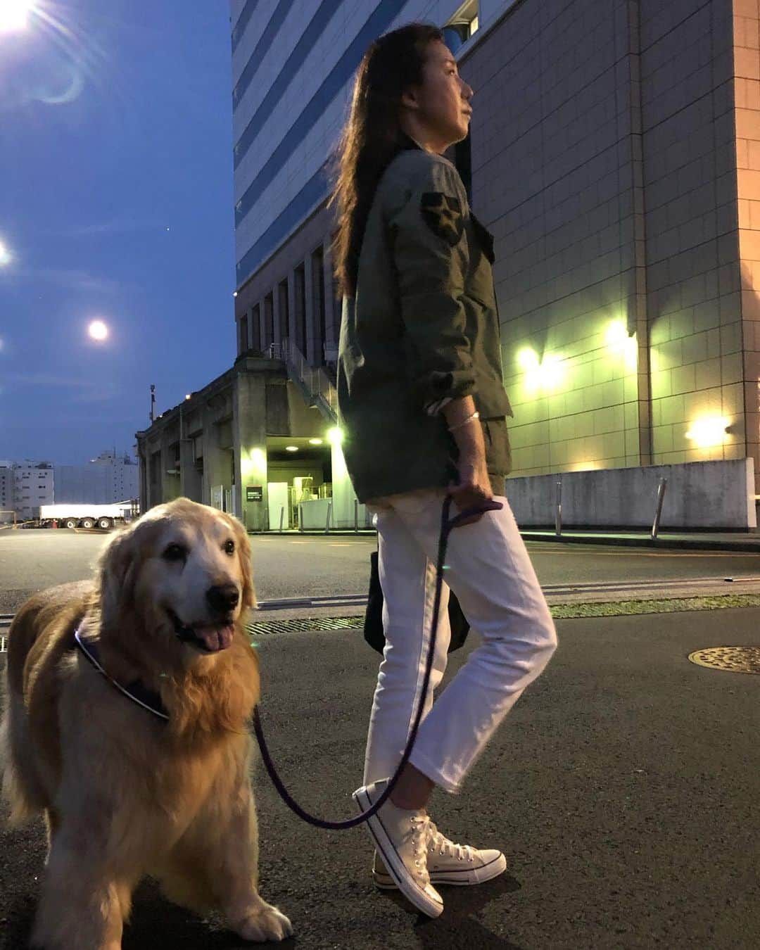 高橋ひとみさんのインスタグラム写真 - (高橋ひとみInstagram)「夕方のお散歩🐾 月が大きくて綺麗でした🌕」8月2日 22時04分 - hitomi_momoe