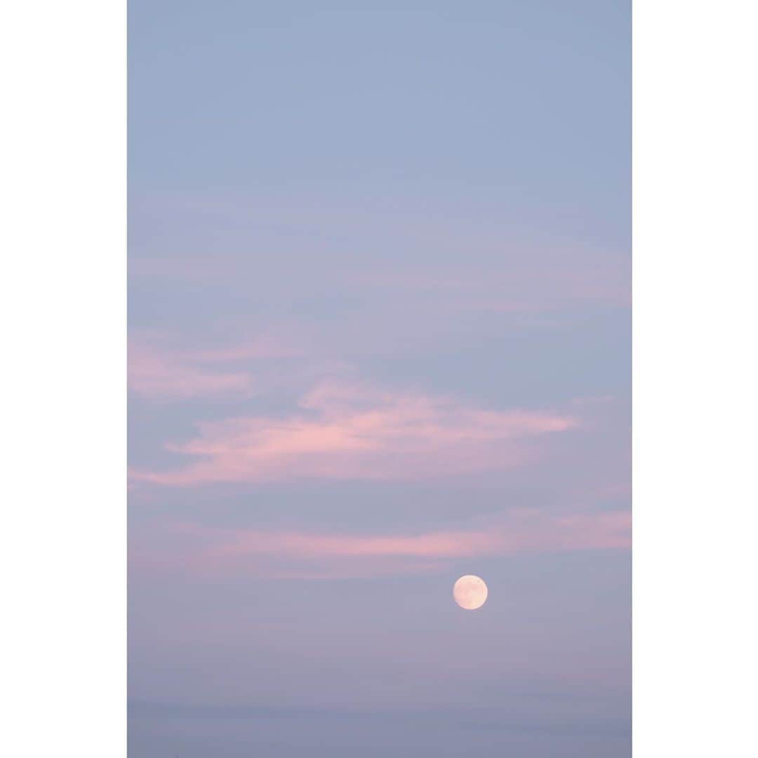 木村心美さんのインスタグラム写真 - (木村心美Instagram)「鳩ぽっぽぽっぽぽっぽぽっぽ。 ・ 梅雨明けは美しいです。月が綺麗ですね。 ・ いよいよ夏が本気を出して来ますね。気温が上がるにつれて熱中症、脱水症状など、気をつけないといけない事が増えますね。ギアを上げて頑張りましょう、、、ギアセカンドくらい ・ #ピジョン」8月2日 22時32分 - cocomi_553_official