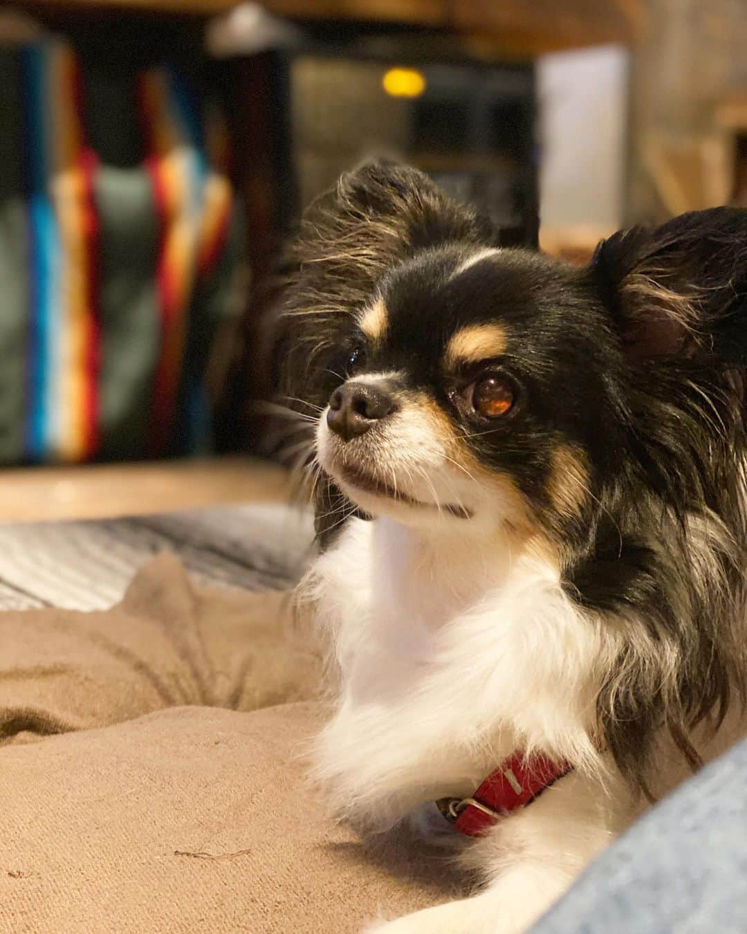 ららちゃんのグルメインスタ