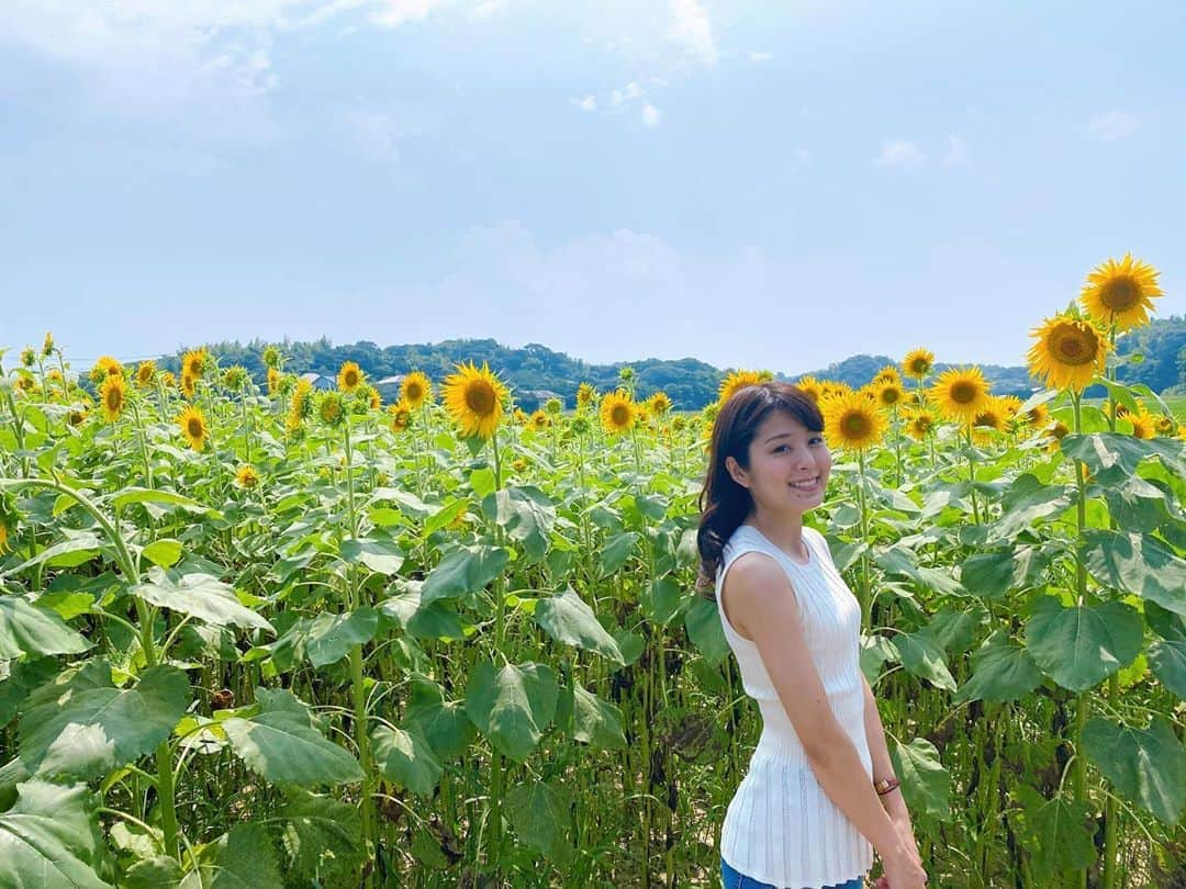 中島遥さんのインスタグラム写真 - (中島遥Instagram)「今日は夏を感じてきました🌻 ひまわりが沢山咲いてて、綺麗でした🥰  今年は福岡の夏満喫できるといいなぁ😎  #福岡#ひまわり#お出かけ#夏 #撮影会#撮影#model#モデル#portrait#ロケ#ファインダー越しの私の世界#東京カメラ部#カメラ#一眼レフ#フォロー#カメラ女子#follow#japan#japanesegirl #中島遥#いいね#コメント#ありがとうございます#転勤族」8月2日 22時50分 - haruka_nakashima