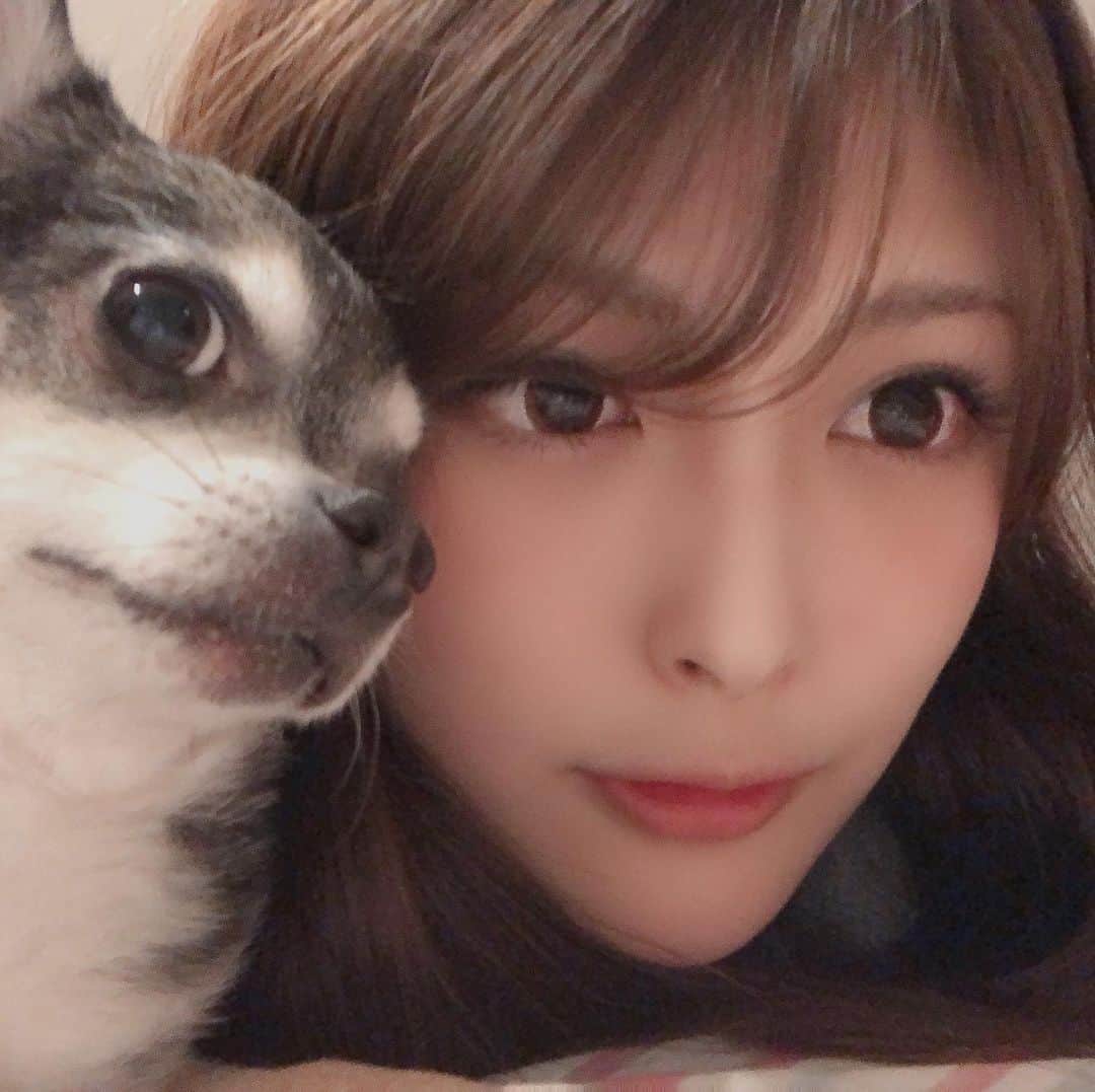 新藤加菜のインスタグラム