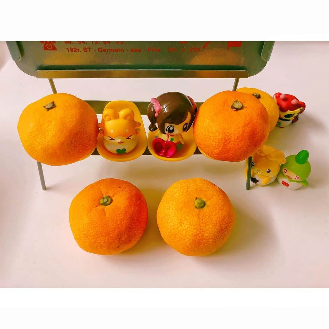 潘めぐみさんのインスタグラム写真 - (潘めぐみInstagram)「🍊 いただきもの 🍊 . お世話になっている方から . みかんの頂き物をたくさん🍊 . 一つ、ひとつが小ぶりなのですが . このまま丸ごと食べられそうなくらい皮が薄くて、実の甘さがぎゅっと詰まっていて、食べ出したら止まりませんでした。 . 最終的に残った５つのみかんと、こころちゃんとここたまで。 . こころちゃんと、このここたまたちのチョイスはね、近々で現場などでお会いした中の人たちつながりです。むふふ。 . 作品を越えても、やっぱり帰るときってありますね、このメンバーがそろうと。 . #8月2日 は #パンツの日 らしいので . #cocotama #ここたま . #四葉こころ #本渡楓 #ラキたま #潘めぐみ #ゲラチョ #愛河里花子 #モグタン #村瀬迪与 #ミシル #ここたまスパイ346 #折笠富美子 #敬称略」8月2日 14時22分 - han_meg_han