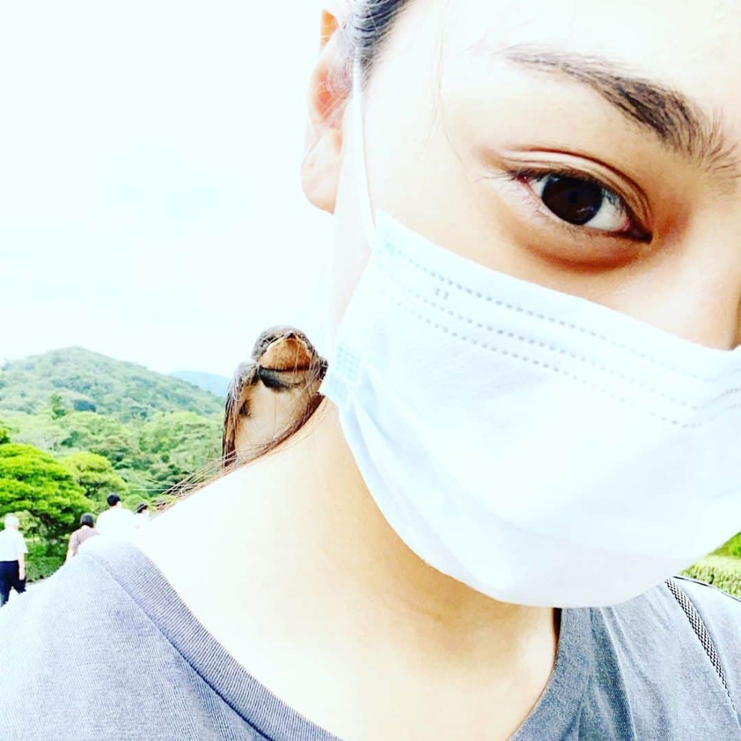 遊海 Yuumiさんのインスタグラム写真 - (遊海 YuumiInstagram)「I save you before summer but couldn’t make it 😢 R.I.P  #animallove #savetheanimalssavetheworld #love」8月2日 15時00分 - yuumi_kato