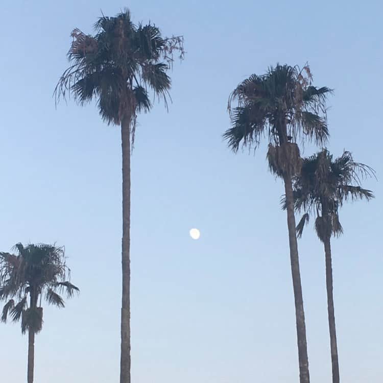 のインスタグラム：「Rainy season has passed and summer days are on!  #beachlife #shonanlife」