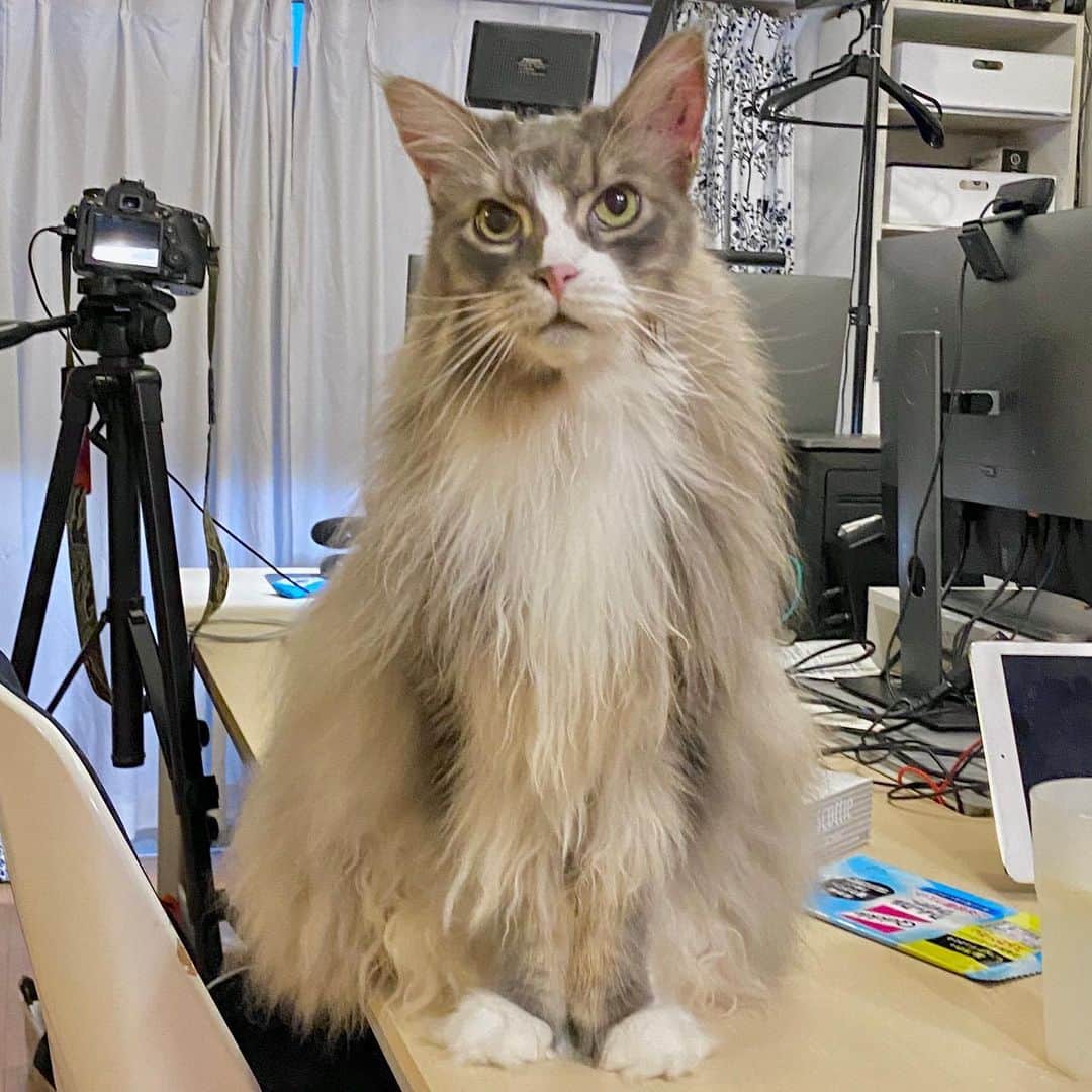 相沢あいのインスタグラム