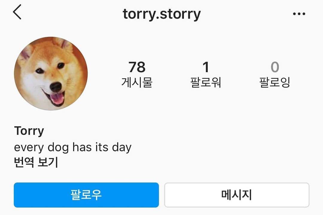 thequiettのインスタグラム：「@torry.storry 우리집 강아지 계정! 워!」