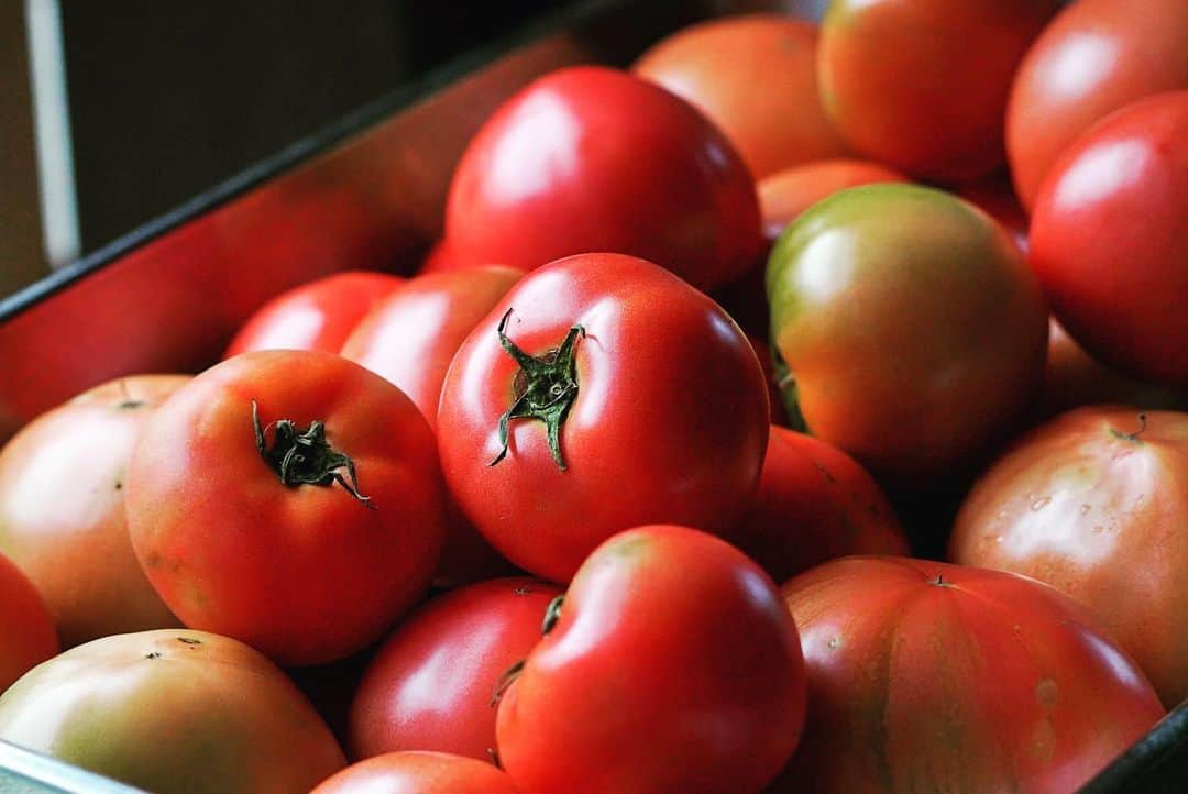 山人のグルメインスタ