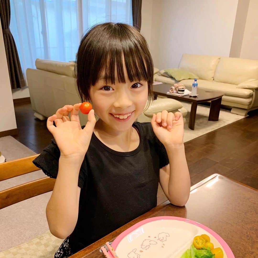 Akiのインスタグラム：「8/2 ・ 全然投稿出来てませんが この通り元気です👧🏻 ・ ・ 学校で育てていたミニトマト🍅 ・ 何の恨みか知りませんが 赤くなるたびに 虫に食べられてしまっていたそうで← ・ ・ やっっっと綺麗に出来た1つ🍅 ・ 大事に大事に 潰れないように ・ 手でホカホカになるまで温めながら 持ち帰ってきました😌 ・ ・ それより娘 どうしちゃったの ・ 最近よくやる それ ・ ・ 【きゅるんっ⭐︎】な手😌 ・ ・ ・ ・」