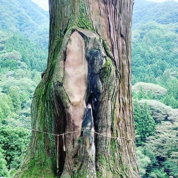 鈴木渉のインスタグラム