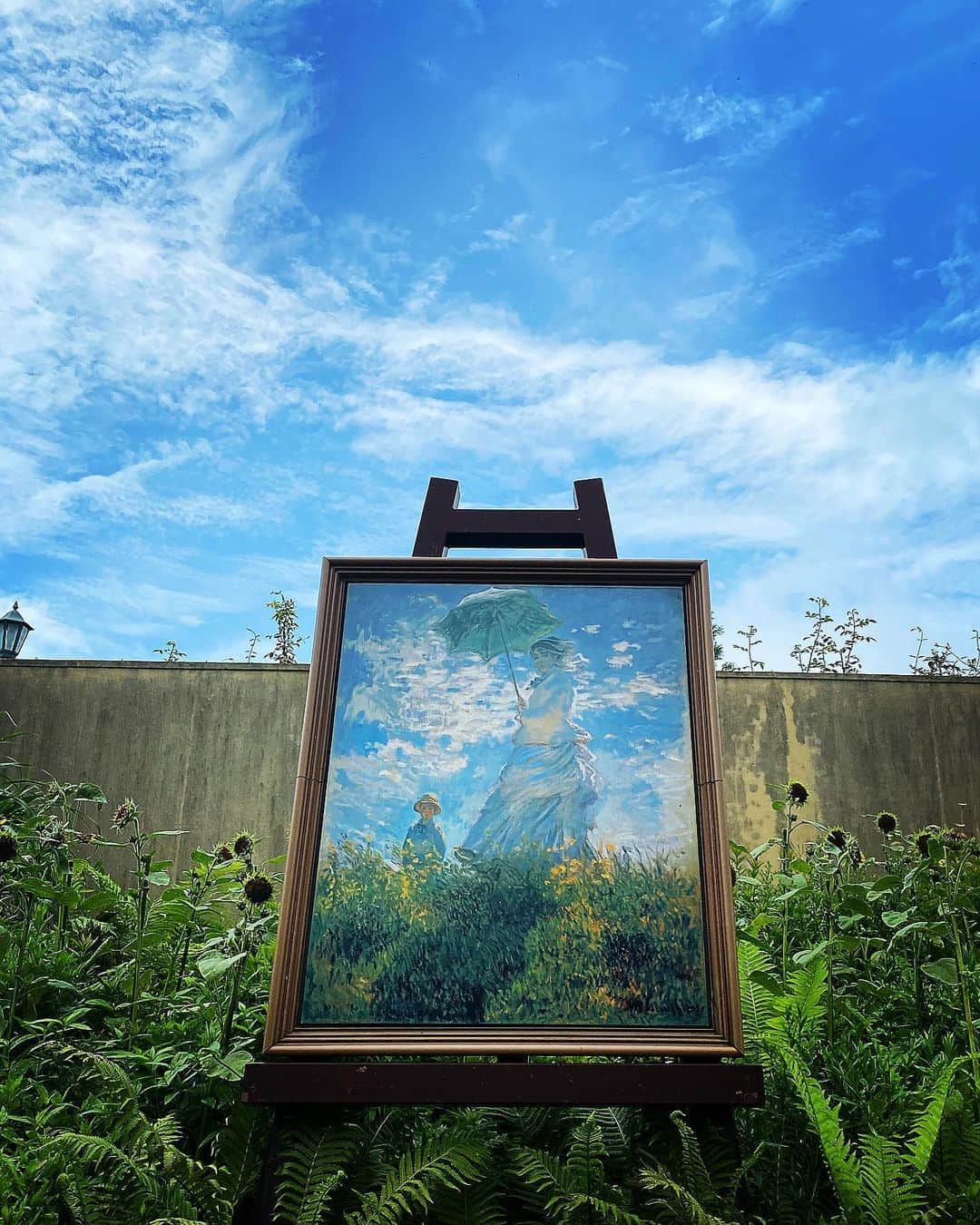 大島央照のインスタグラム：「気がつけばもう8月、夏なんですねー🌻  限られた行動範囲の中ででも、気をつけながら楽しんで行きましょう✨  熱中症にも気をつけてください😊  #summer #夏 #夏休み #京都 #kyoto #モネ #mone #左向きの日傘の女 #絵画 #paint #sky #青空 #photo #photographey #photograph #artist #比叡 #ガーデンミュージアム #花が綺麗 #shiga #ひまわり #向日葵 #ガーデン #自然 #green  #flower #花が綺麗 #自然が綺麗 #風が気持ちいい #久しぶりすぎるプチ家族の時間 #マスクしてる時も水分補給しよう」